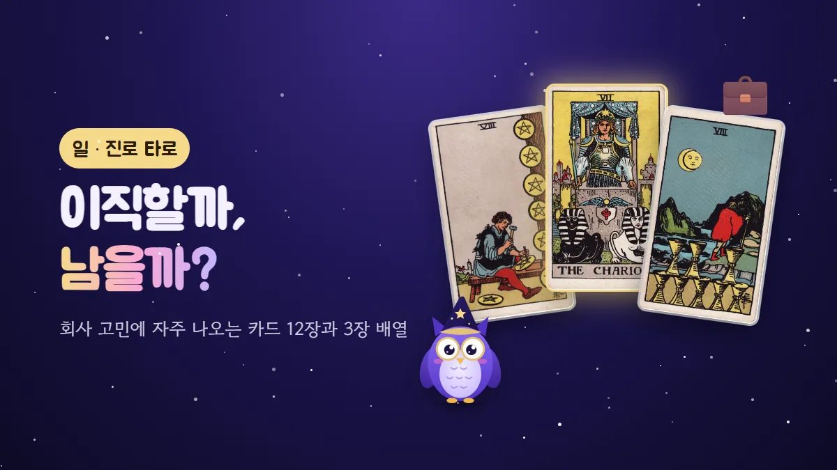 펜타클 8, 전차, 컵 8 카드와 서류 가방 이모지, 부엉이 멜로가 있는 '이직할까, 남을까?' 일·진로 타로 표지