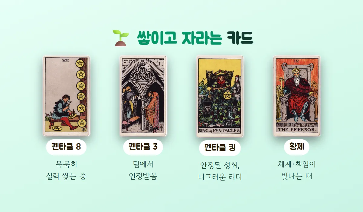 펜타클 8(실력 쌓는 중), 펜타클 3(팀에서 인정), 펜타클 킹(안정된 성취), 황제(체계와 책임) 카드를 쌓이고 자라는 카드로 묶은 그림