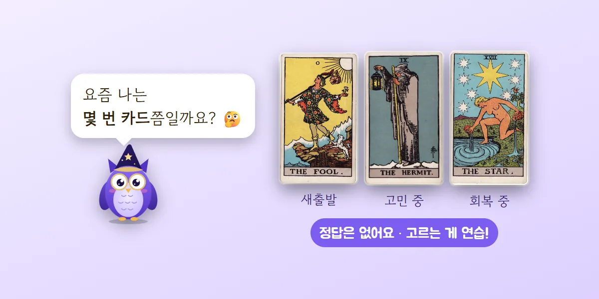 부엉이 멜로가 요즘 나는 몇 번 카드쯤일지 묻고, 옆에 새출발의 바보, 고민 중의 은둔자, 회복 중의 별 카드가 놓인 그림
