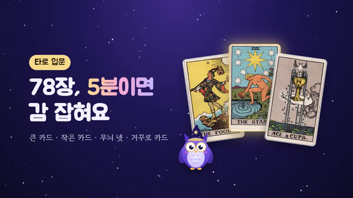 별 모자를 쓴 부엉이 멜로와 바보·별·컵 에이스 카드 — 타로 입문 표지