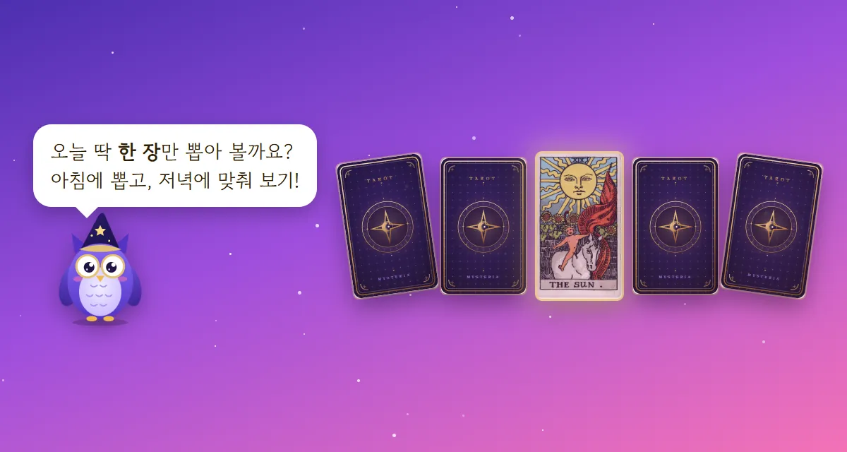 부엉이 멜로가 오늘 한 장만 뽑아 보자고 말하고, 뒤집힌 카드 사이에서 태양 카드 한 장이 빛나는 그림