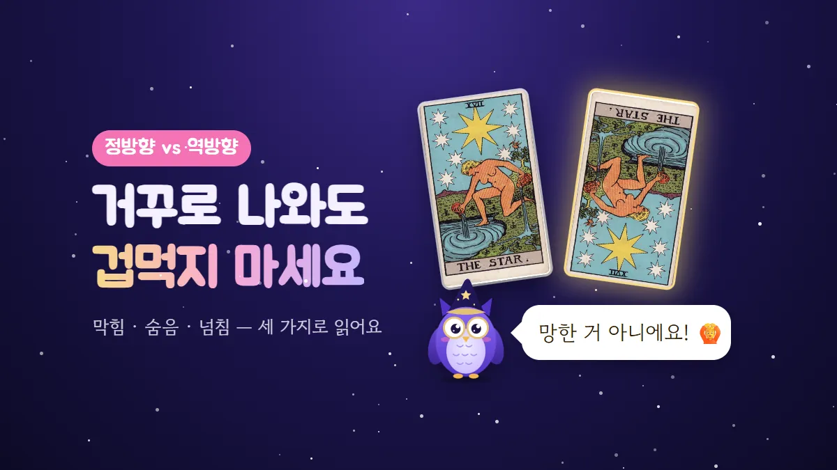 정방향 별 카드와 거꾸로 놓인 별 카드 옆에서 부엉이 멜로가 망한 거 아니라고 말하는 '거꾸로 나와도 겁먹지 마세요' 표지