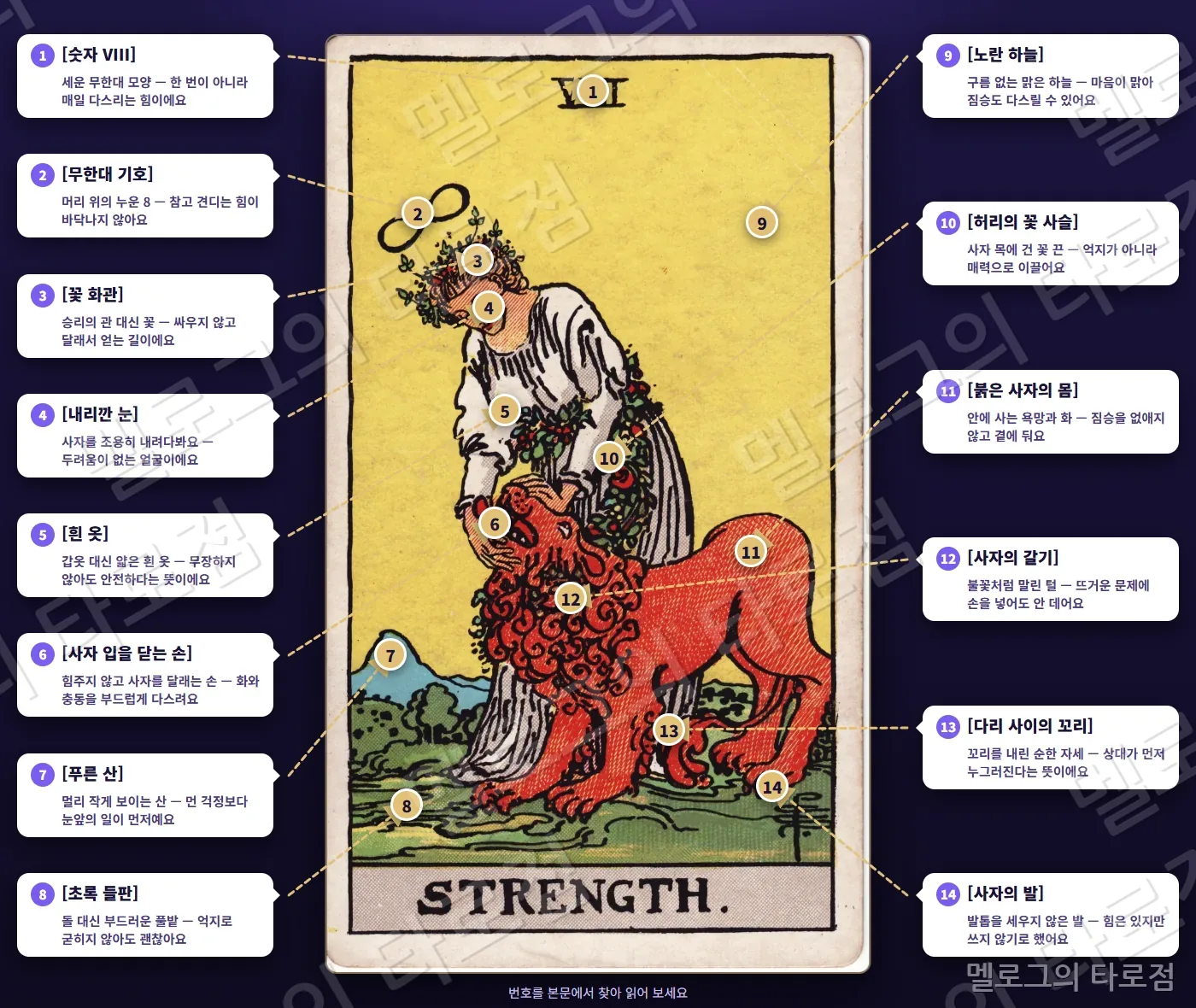 8 힘(Strength) 카드 그림 위에 번호 1~14 과 상징 이름·짧은 뜻을 말풍선·화살표로 표시한 해설 그림