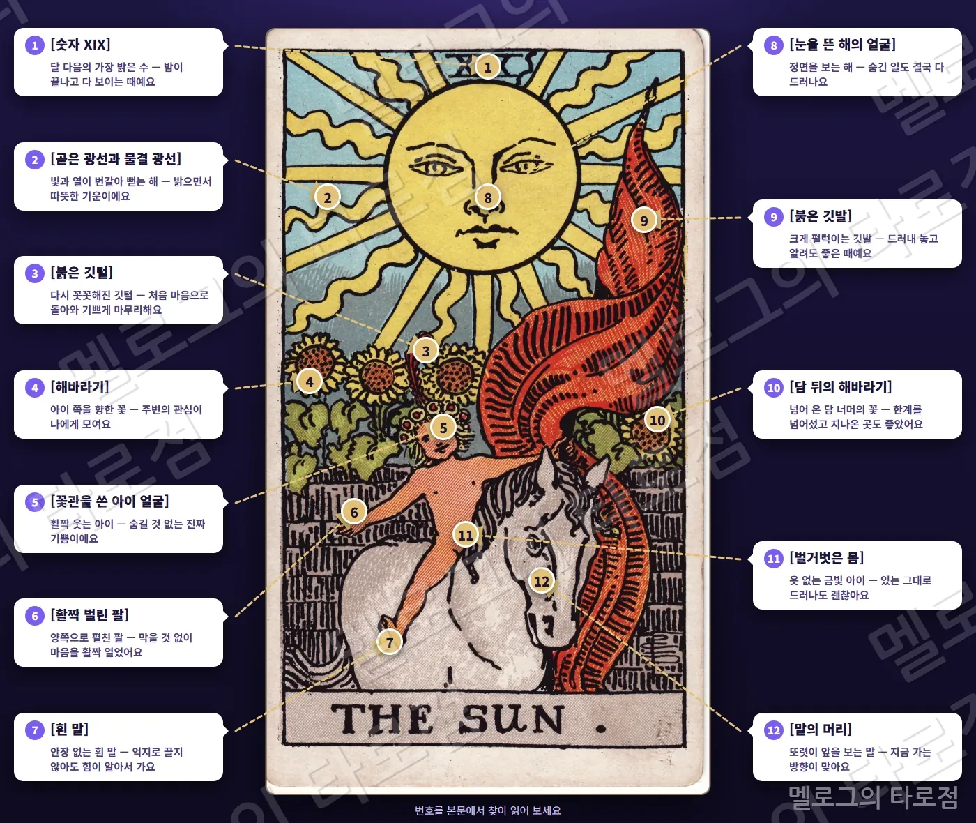 19 태양(The Sun) 카드 그림 위에 번호 1~12 과 상징 이름·짧은 뜻을 말풍선·화살표로 표시한 해설 그림